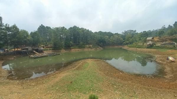 Situ Cilangla Taraju Tasikmalaya, Destinasi Wisata Alam Memikat di Tengah Hamparan Kebun Teh Situ Cilangla Taraju Tasikmalaya, Destinasi Wisata Alam Memikat di Tengah Hamparan Kebun Teh