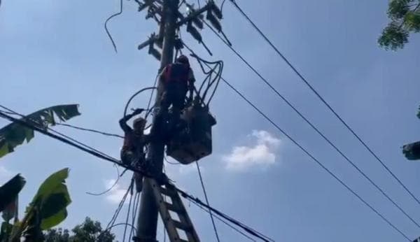 Info Pemadaman Aliran Listrik Oleh PT PLN Purwodadi Pada Rabu 9 Oktober 2024 di Lokasi Ini Info Pemadaman Aliran Listrik Oleh PT PLN Purwodadi Pada Rabu 9 Oktober 2024 di Lokasi Ini