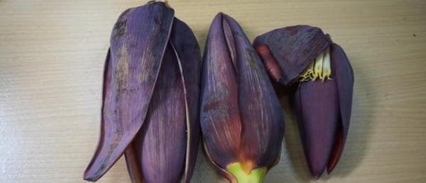 7 Manfaat Luar Biasa Jantung Pisang dalam Setiap Irisan 7 Manfaat Luar Biasa Jantung Pisang dalam Setiap Irisan