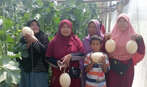 Wisata Petik Buah Melon di Desa Kedawung Sragen, Cocok Banget buat Isi Liburan bareng Keluarga! Wisata Petik Buah Melon di Desa Kedawung Sragen, Cocok Banget buat Isi Liburan bareng Keluarga!