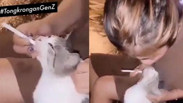 Viral Cewek Masukkan Asap Rokok ke Mulut Kucing, Netizen: Bakal Kena Balasannya Viral Cewek Masukkan Asap Rokok ke Mulut Kucing, Netizen: Bakal Kena Balasannya