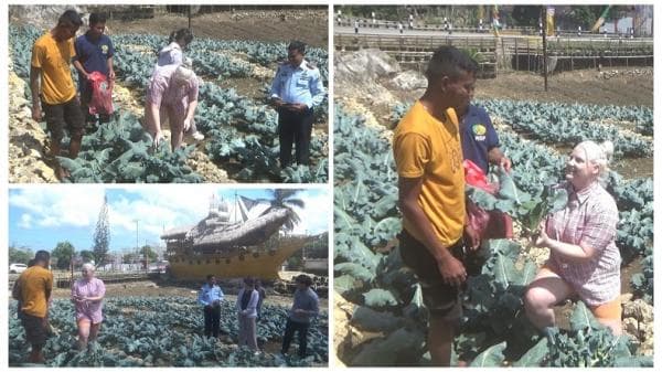 Mahasiswi Tri Sakti Asal Norwegia Kagumi Kafe Kapal dan Sarana Asimilasi Lapas Waikabubak Mahasiswi Tri Sakti Asal Norwegia Kagumi Kafe Kapal dan Sarana Asimilasi Lapas Waikabubak