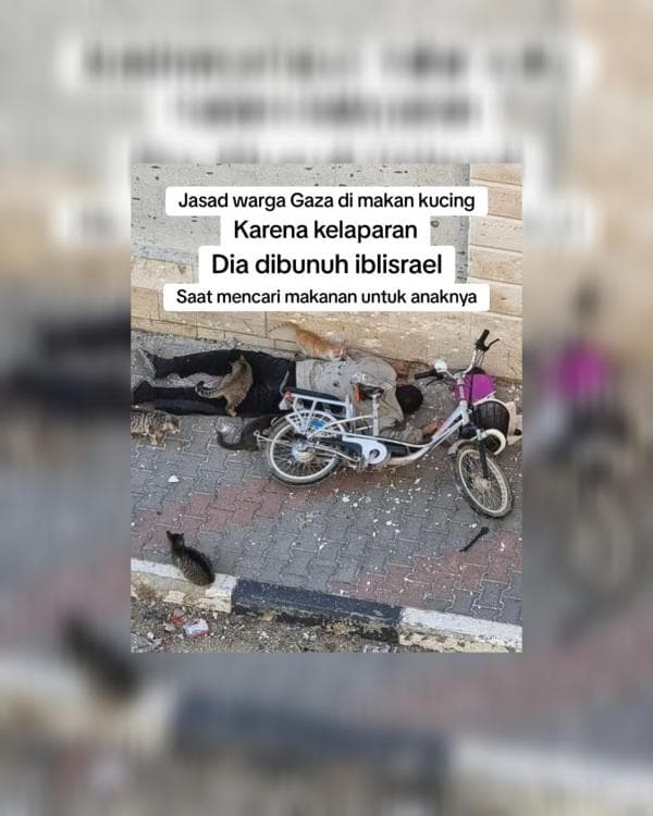 Viral Jenazah Warga Gaza Dimakan Kucing karena Kelaparan, Netizen: Innalillahi Viral Jenazah Warga Gaza Dimakan Kucing karena Kelaparan, Netizen: Innalillahi
