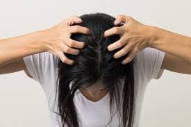 Lawan Kutu Rambut: Kandungan Sampo Ampuh yang Bantu Mengatasi Kutu Rambut Lawan Kutu Rambut: Kandungan Sampo Ampuh yang Bantu Mengatasi Kutu Rambut