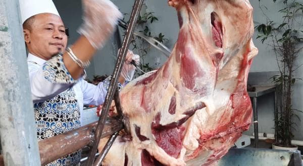 Terbaru di Garut, Sapi Guling Jadi Menu Pilihan Saat Lebaran Terbaru di Garut, Sapi Guling Jadi Menu Pilihan Saat Lebaran