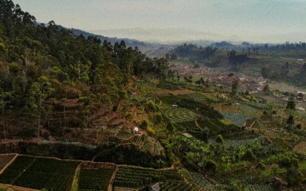 BMKG Sebut Potensi Gempa Sesar Lembang Capai 6,5-7 Magnitudo, Berdampak hingga Jakarta BMKG Sebut Potensi Gempa Sesar Lembang Capai 6,5-7 Magnitudo, Berdampak hingga Jakarta