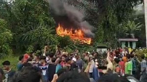 Warga Diserang Harimau, Ratusan Massa Demo hingga Bakar Kantor Resort Polhut Suoh Warga Diserang Harimau, Ratusan Massa Demo hingga Bakar Kantor Resort Polhut Suoh