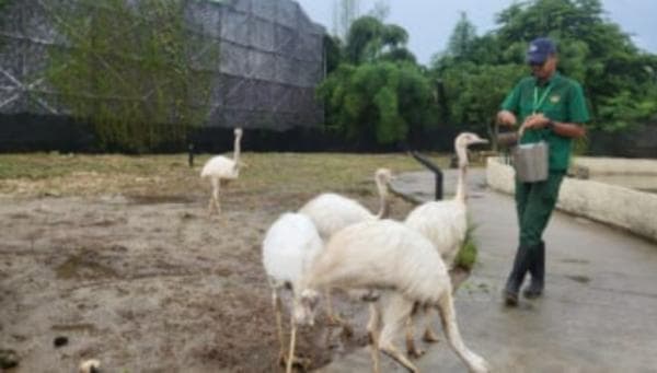 Aviary Park di Bintaro Tawarkan Petualangan Alam Bersama Keluarga yang Tidak Terlupakan Aviary Park di Bintaro Tawarkan Petualangan Alam Bersama Keluarga yang Tidak Terlupakan