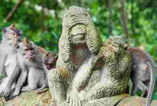 Mandala Suci Wenara Wana, Situs Alam di Ubud Bali yang Tawarkan Banyak Fasilitas Mandala Suci Wenara Wana, Situs Alam di Ubud Bali yang Tawarkan Banyak Fasilitas