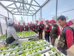 Pelatihan 1.000 Petani Muda, Asa Wujudkan Pertanian Maju, Mandiri, dan Modern di Indramayu