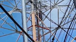 Bocah Panjat Tower Setinggi 40 Meter di Mamuju, Berhasil Dievakuasi gegara Dibujuk dengan HP