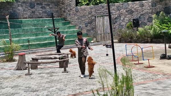 Libur Lebaran 2024, Semarang Zoo Tawarkan Gua "Reptile Cave" Libur Lebaran 2024, Semarang Zoo Tawarkan Gua "Reptile Cave"