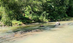 Geger, Mayat Pria Korban Pengeroyokan Ditemukan Mengapung di Sungai Kedungsilin Semarang
