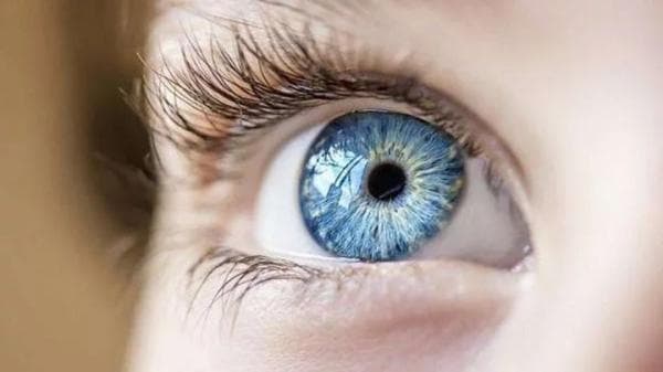 Cara Menjaga Kesehatan Mata, Lengkap degan Langkah-Langkah Senam Mata