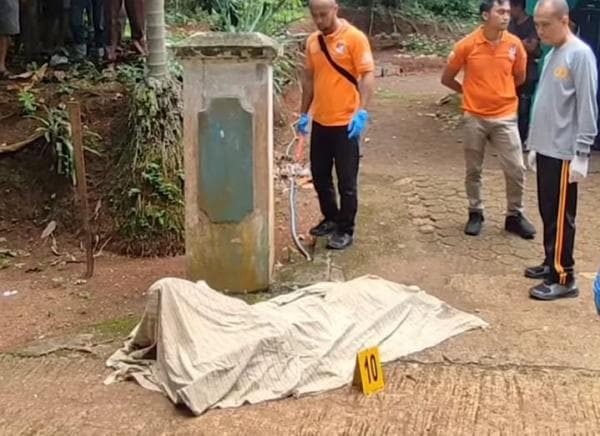 Viral Bandar Sapi Mutilasi Istri Menjadi Empat Bagian, Dapat Bisikan Gaib Pesugihan Viral Bandar Sapi Mutilasi Istri Menjadi Empat Bagian, Dapat Bisikan Gaib Pesugihan