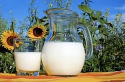 7 Manfaat Mengonsumsi Susu dengan Campuran Madu