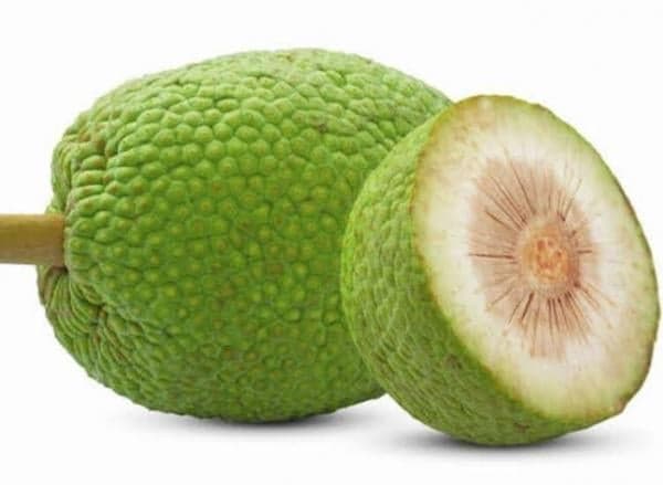 Ternyata Buah Sukun Punya Manfaat Bagi Kesehatan Tubuh Kita, Mau Tahu? Ternyata Buah Sukun Punya Manfaat Bagi Kesehatan Tubuh Kita, Mau Tahu?