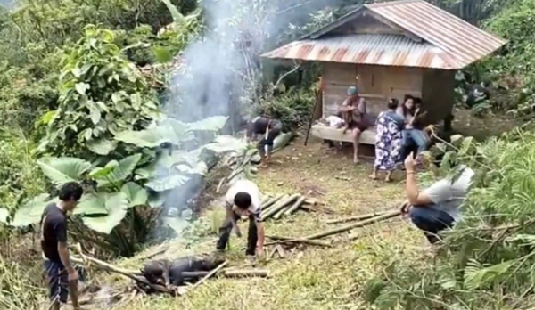 Video 5 Remaja Acak-acak Makam Suku Toraja Viral Video 5 Remaja Acak-acak Makam Suku Toraja Viral
