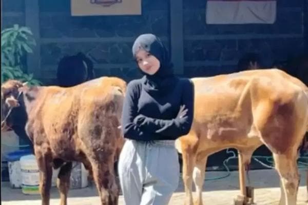 Kisah Azhyra, Perempuan Cantik Lulusan S2 Rela Jualan Sapi dan Kambing Kurban di Kampung Kisah Azhyra, Perempuan Cantik Lulusan S2 Rela Jualan Sapi dan Kambing Kurban di Kampung