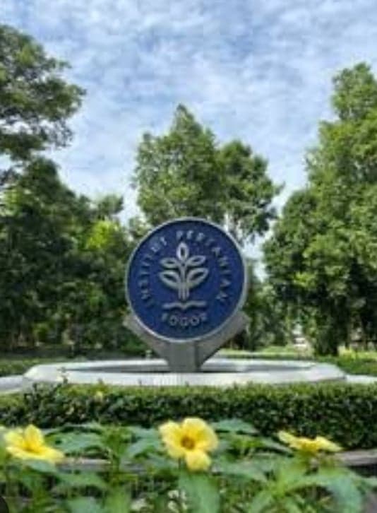 IPB University Umumkan PMB Jalur Seleksi Mandiri Sarjana Terapan dan Kelas Internasional IPB University Umumkan PMB Jalur Seleksi Mandiri Sarjana Terapan dan Kelas Internasional