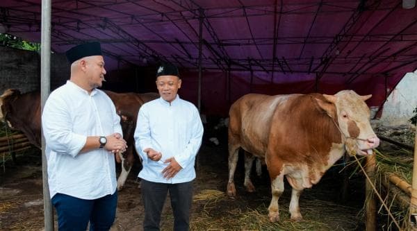 Grab Indonesia dan OVO Sambut Idul Adha dengan Sumbangan Kurban Besar-Besaran, Ini Lokasinya Grab Indonesia dan OVO Sambut Idul Adha dengan Sumbangan Kurban Besar-Besaran, Ini Lokasinya