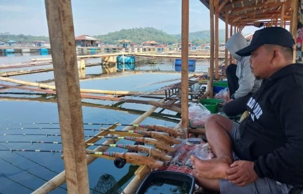 Lima Spot Mancing Ikan Nila Paling Populer Saat Ini Ada Lapak Apung Tarikan Babonnya Mantap Lima Spot Mancing Ikan Nila Paling Populer Saat Ini Ada Lapak Apung Tarikan Babonnya Mantap