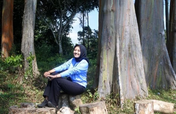 Tidak Banyak Yang Tahu !! di Bondowoso Ada Hutan Pohon Pelangi, Spot Selfie Apik Buat Foto Tidak Banyak Yang Tahu !! di Bondowoso Ada Hutan Pohon Pelangi, Spot Selfie Apik Buat Foto