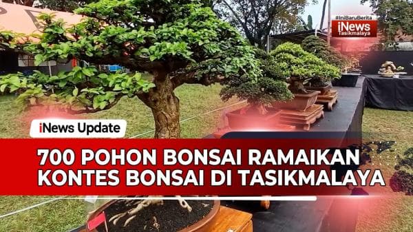 VIDEO: Melihat Suasana Pameran dan Kontes Bonsai di Kota Tasikmalaya VIDEO: Melihat Suasana Pameran dan Kontes Bonsai di Kota Tasikmalaya