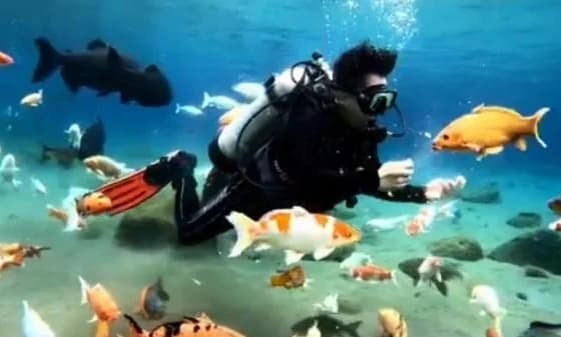 Bisa Snorkeling di Sungai, 6 Desa di Klaten Sayang Dilewatkan Bisa Snorkeling di Sungai, 6 Desa di Klaten Sayang Dilewatkan