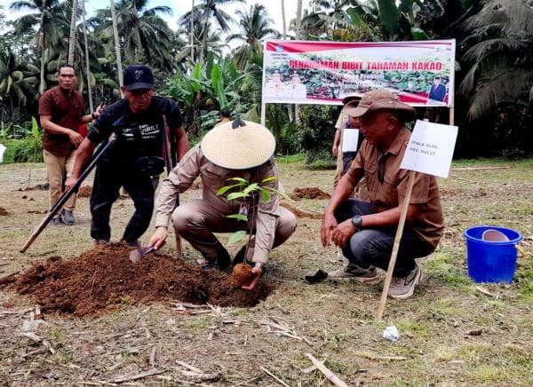 Desa Bintau Jadi Lokasi Penanaman Perdana Bibit Cacao Desa Bintau Jadi Lokasi Penanaman Perdana Bibit Cacao