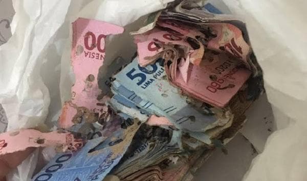Punya Uang Rusak atau Sobek Jangan Dibuang, Berikut Cara Menukar Uang Rusak di Bank Punya Uang Rusak atau Sobek Jangan Dibuang, Berikut Cara Menukar Uang Rusak di Bank