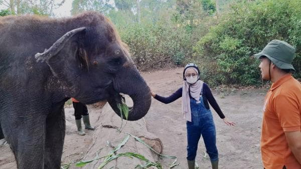Liburan Seru dengan Kuda Besi dan Gajah di ATV Adventure Taman Safari Prigen, Rasakan Sensasinya! Liburan Seru dengan Kuda Besi dan Gajah di ATV Adventure Taman Safari Prigen, Rasakan Sensasinya!
