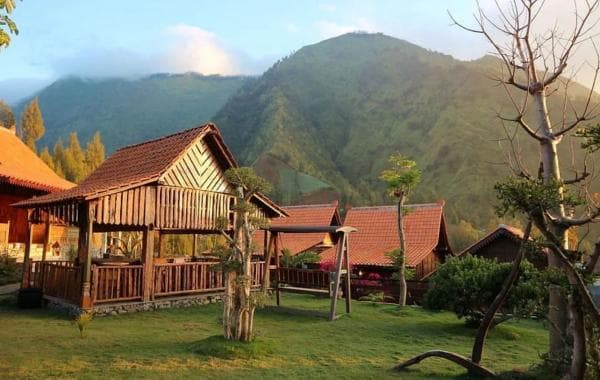 Ada Kuliner Lezat Menggugah Selera di Pegunungan, Ayam Bakar Bawangan Bromo Super Empuk Ada Kuliner Lezat Menggugah Selera di Pegunungan, Ayam Bakar Bawangan Bromo Super Empuk