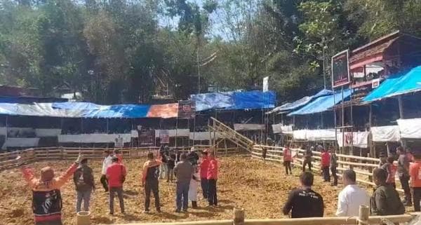 Dany Pomanto Janji Siap Lestarikan Adat dan Budaya Tedong Silaga jika Jadi Gubernur Sulawesi Selatan Dany Pomanto Janji Siap Lestarikan Adat dan Budaya Tedong Silaga jika Jadi Gubernur Sulawesi Selatan