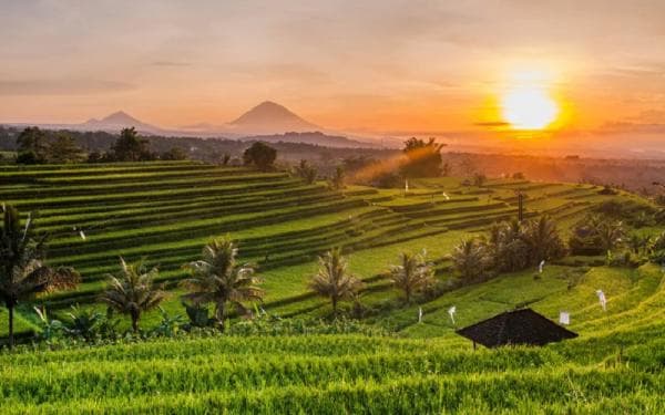 Ini Dia 10 Tempat Nongkrong di Ubud Bali yang Murah Meriah dan Cocok untuk Backpacker Ini Dia 10 Tempat Nongkrong di Ubud Bali yang Murah Meriah dan Cocok untuk Backpacker