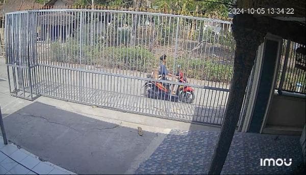 Viral, Bocil di Ponorogo Kedapatan Nekat Mencuri Anak Kambing Viral, Bocil di Ponorogo Kedapatan Nekat Mencuri Anak Kambing