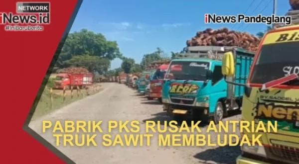 PKS Kertajaya Kewalahan! Antrian Truk Sawit di Lebak Membludak Akibat Pabrik Rusak PKS Kertajaya Kewalahan! Antrian Truk Sawit di Lebak Membludak Akibat Pabrik Rusak