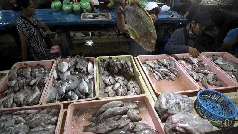 Pasar Ikan Gawok Wates Jadi Pusat Produk Olahan dan Ikan Segar Pasar Ikan Gawok Wates Jadi Pusat Produk Olahan dan Ikan Segar