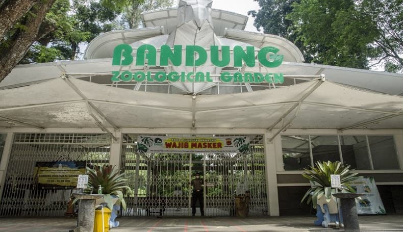 Nama Kebun Binatang Bandung Dicatut untuk Nipu, Ini Kata Pengelola Nama Kebun Binatang Bandung Dicatut untuk Nipu, Ini Kata Pengelola