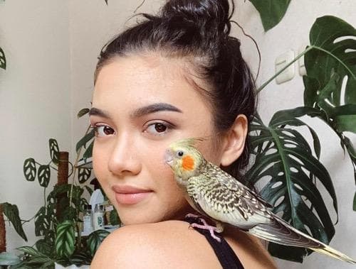 Profil dan Biodata Angela Gilsha, Aktris Cantik Blasteran Indonesia-Italia Punya Hobi Naik Gunung Profil dan Biodata Angela Gilsha, Aktris Cantik Blasteran Indonesia-Italia Punya Hobi Naik Gunung