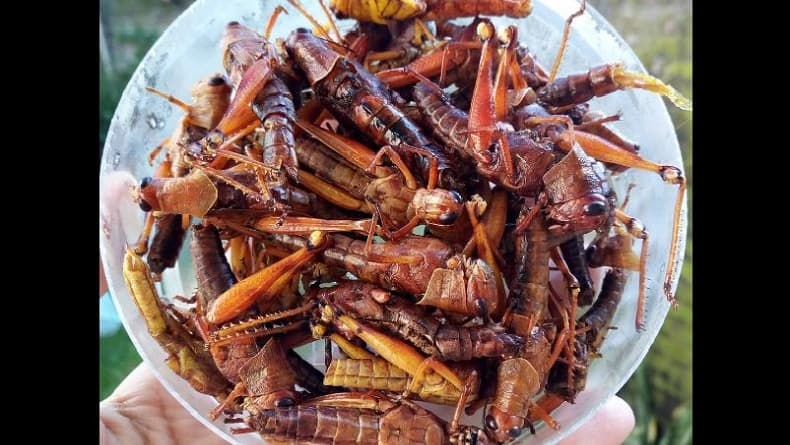 10 Makanan Khas Gunungkidul yang Wajib Dicoba 10 Makanan Khas Gunungkidul yang Wajib Dicoba