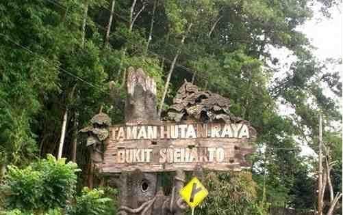 Cerita Horor Bukit Soeharto Kalimantan Timur, Ada Penampakan Tentara Jepang Cerita Horor Bukit Soeharto Kalimantan Timur, Ada Penampakan Tentara Jepang