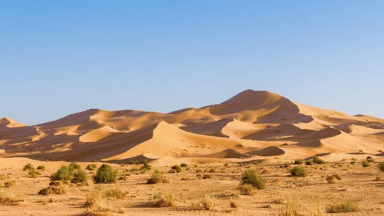 50 Kata-kata Bijak Ali bin Abi Thalib, Bisa Jadi Motivasi dalam Hidup 50 Kata-kata Bijak Ali bin Abi Thalib, Bisa Jadi Motivasi dalam Hidup