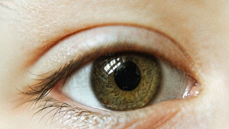 Arti Kedutan Mata Kanan Atas Menurut Islam yang Perlu Diketahui Umat Muslim Arti Kedutan Mata Kanan Atas Menurut Islam yang Perlu Diketahui Umat Muslim