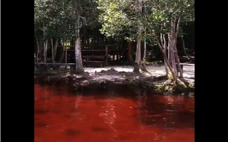 Keindahan Sungai Merah di Kalimantan, Bikin Kulit Putih dan Disakralkan Suku Dayak Keindahan Sungai Merah di Kalimantan, Bikin Kulit Putih dan Disakralkan Suku Dayak