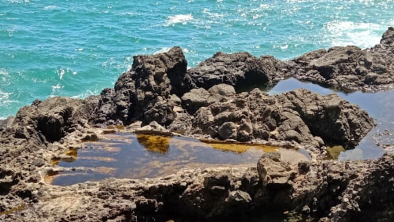 Misteri Telapak Kaki Raksasa di Aceh, Ternyata Ini Pemiliknya Misteri Telapak Kaki Raksasa di Aceh, Ternyata Ini Pemiliknya