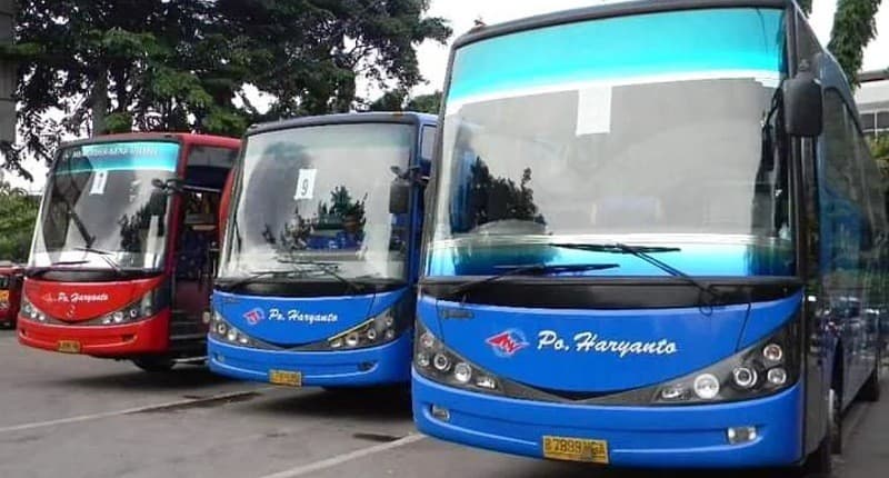 Deretan Bus Jadi Artis di Terminal dan Jalan, Ada yang Fasilitasnya Mewah Deretan Bus Jadi Artis di Terminal dan Jalan, Ada yang Fasilitasnya Mewah
