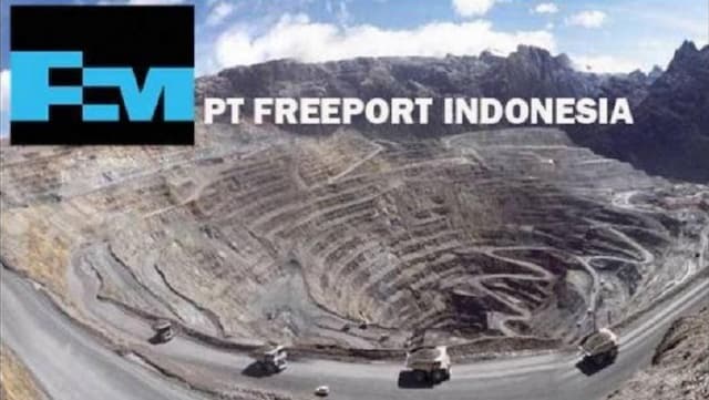 Freeport Cetak Laba Rp48,79 Triliun, Nyetor ke Papua Berapa?