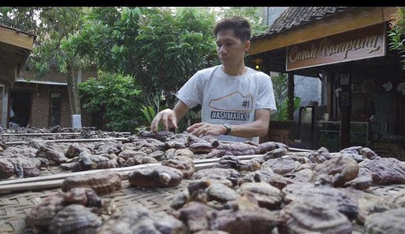 Cerita Petani Jamur Bikin Wisata Edukasi berkat Lapak Ganjar, Raup Omzet Rp150 Juta per Bulan