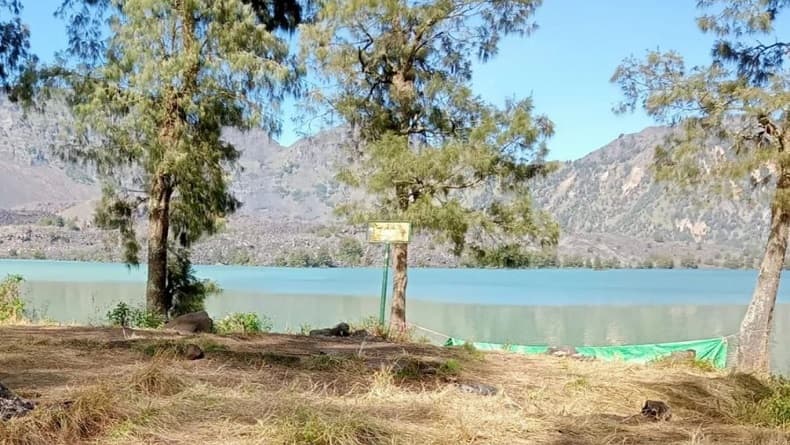 Segara Anak, Danau di Kawah Gunung Rinjani yang Ditumbuhi Pohon Keramat Segara Anak, Danau di Kawah Gunung Rinjani yang Ditumbuhi Pohon Keramat